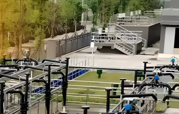 世界环保成功事件